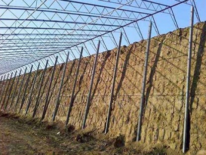 幾字鋼日光溫室