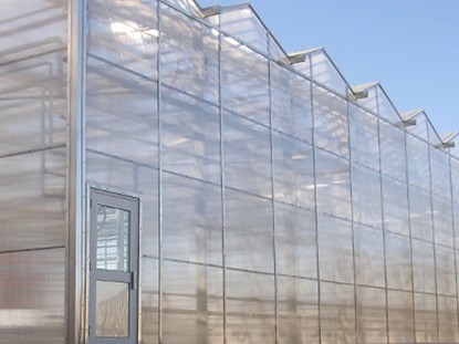 連體陽光板溫室