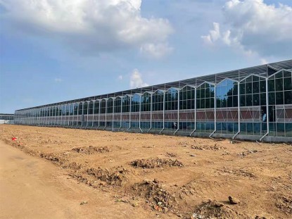 智能陽光板溫室