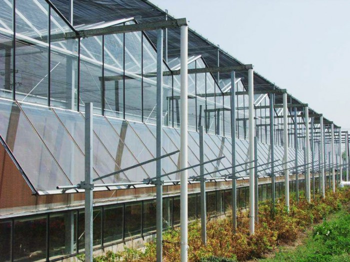 單體玻璃溫室