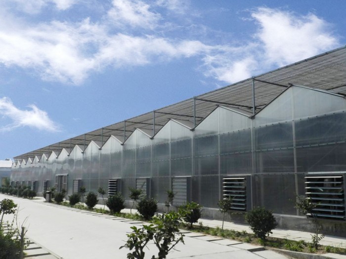 連體陽光板溫室