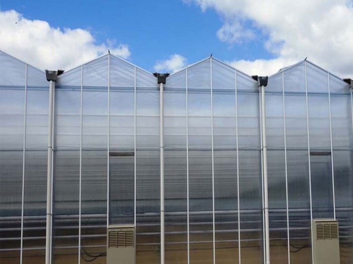 連體陽光板溫室