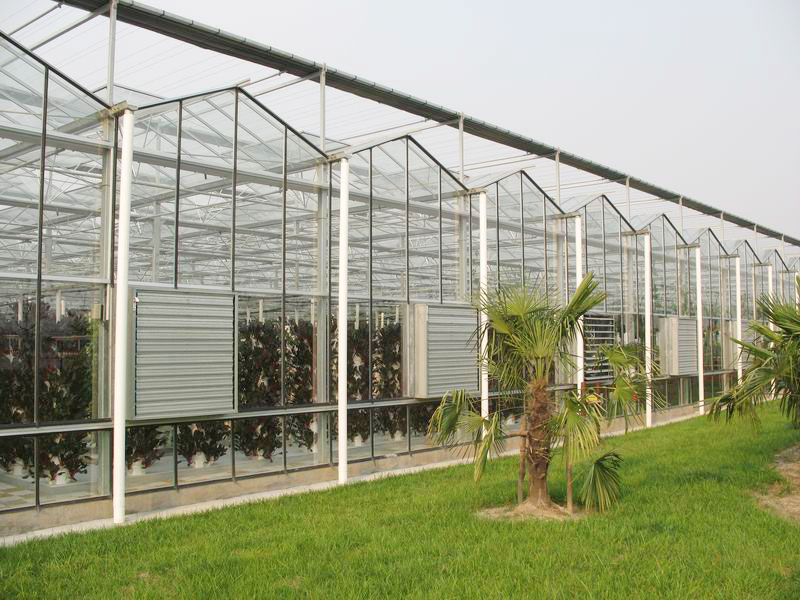 工程案例-青州市澤源農(nóng)業(yè)科技有限公司